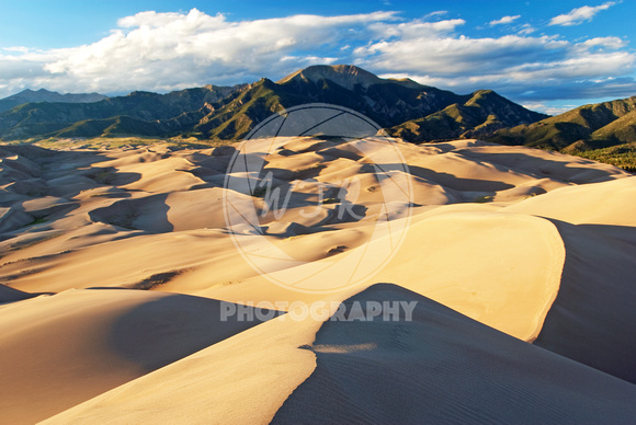 Dune Field
