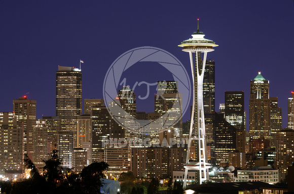 Seattle Night Skyline